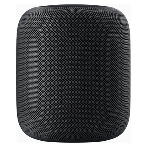 HomePod MQHW2J/A スペースグレー