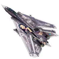 買取】ハセガワ 1/72 アイドルマスターシリーズ F-14D トムキャット